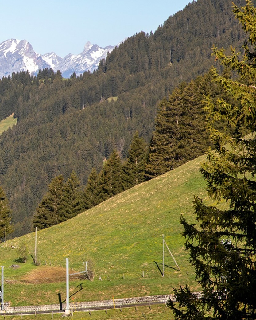 Publication Instagram du Restaurant Col de Soud